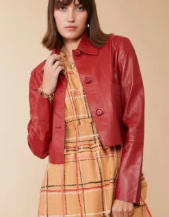 Adelaide Midi Dress Botanic Garden Dash Plaid -Spartina Store 393418d